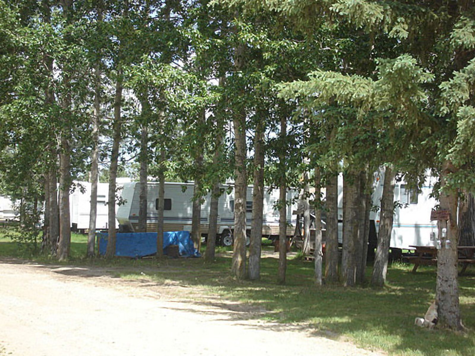 DSC00013 E1761529865472